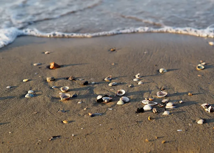 Cozy Flat In With Swimming Pools Bibione